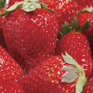 strwberry